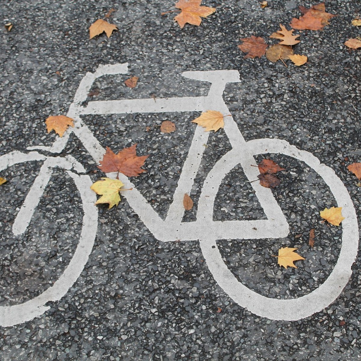 Lebenswerte Stadt - Fahrradsymposium in der Dänischen Botschaft