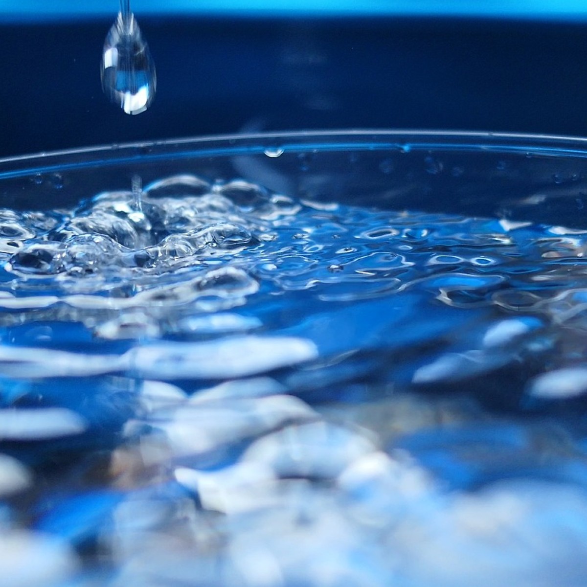 Zu Besuch bei den Berliner Wasserbetrieben