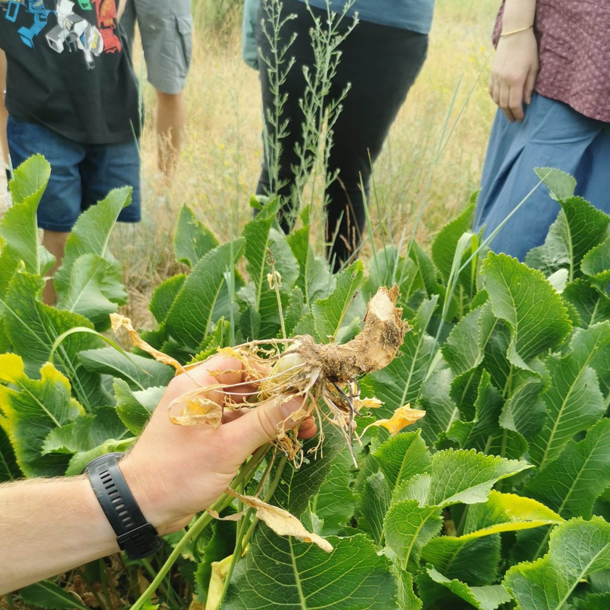 Langer Tag der Stadtnatur: Erkundungstour in der Wuhlheide