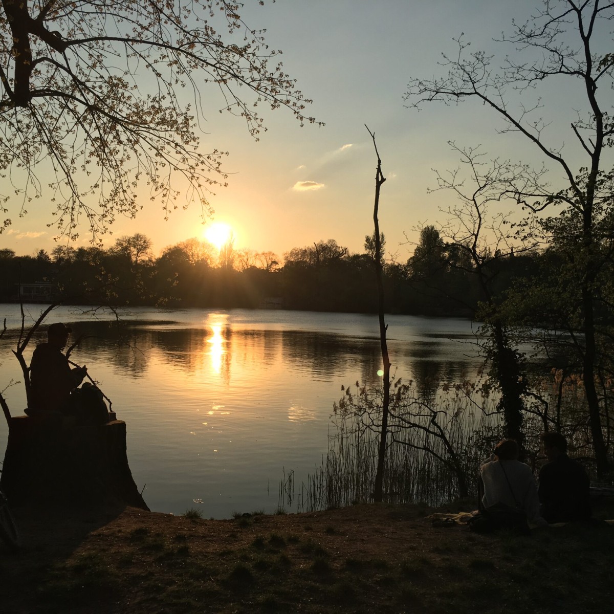 Beteiligungsverfahren zur Sanierung des Parks am Weißen See