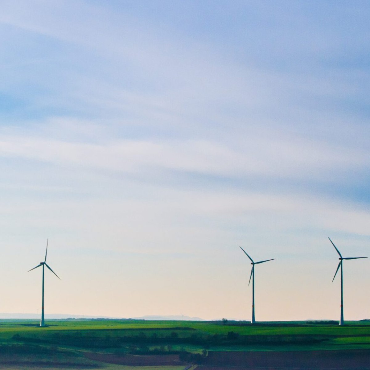 Woher der Wind weht: Windenergie umweltverträglich gewinnen