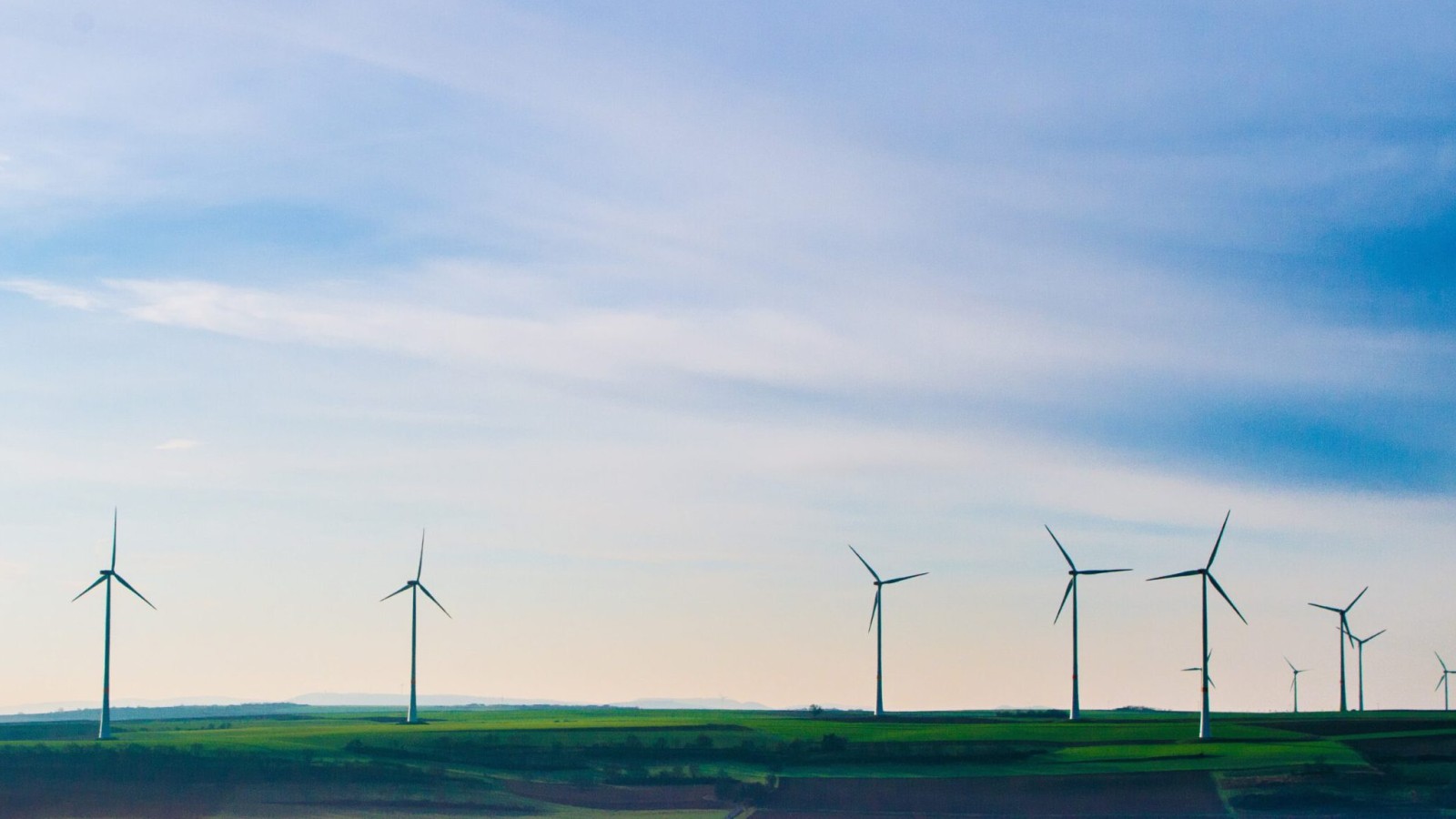 Woher der Wind weht: Windenergie umweltverträglich gewinnen