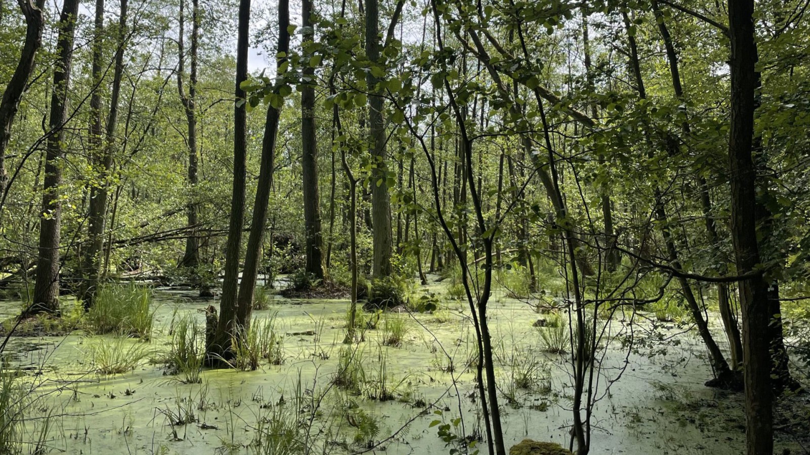 Wasserwerke laufen ohne abgeschlossene Genehmigung – auf Kosten der Natur