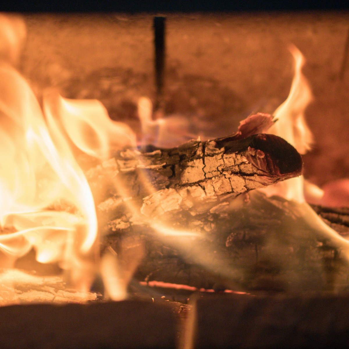 Holz als Energiequelle: eine Milchmädchenrechnung