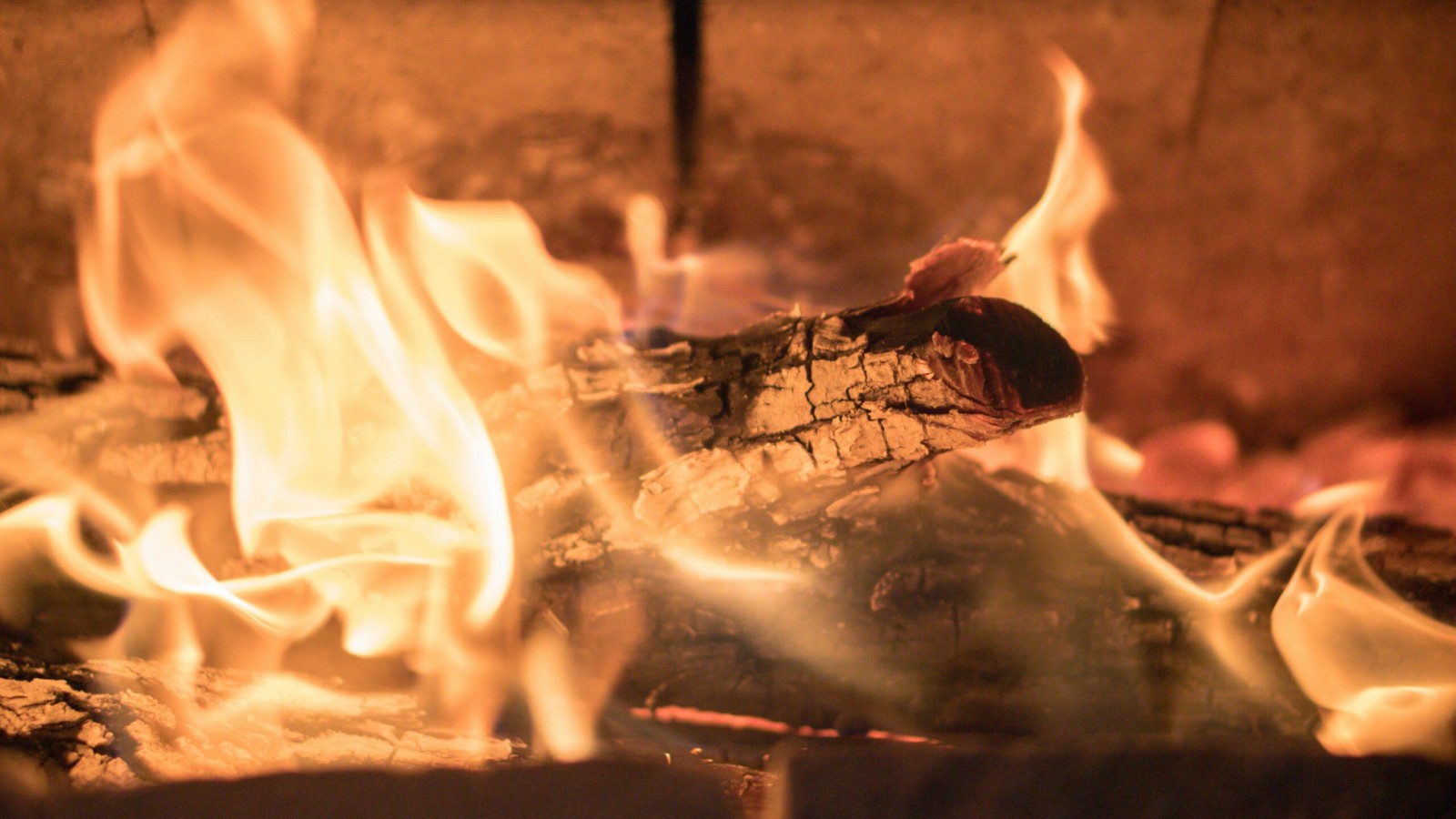 Holz als Energiequelle: eine Milchmädchenrechnung