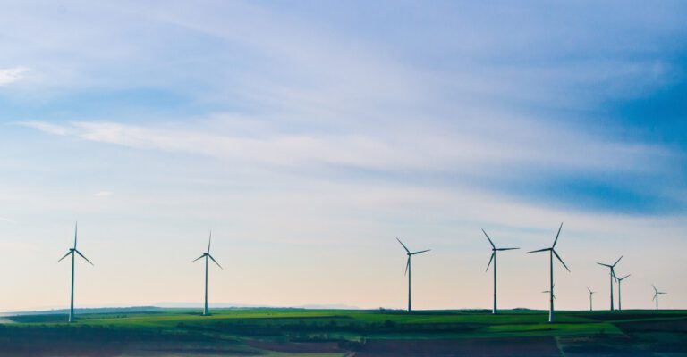 Woher der Wind weht: Windenergie umweltverträglich gewinnen