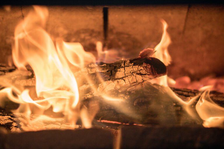 Holz als Energiequelle: eine Milchmädchenrechnung