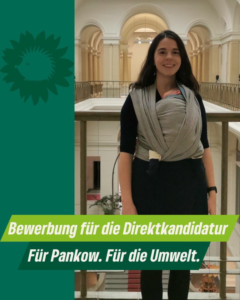 Für Pankow und die Umwelt in den Bundestag